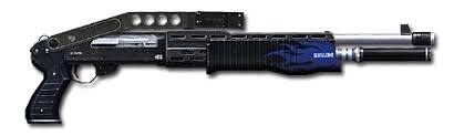 Extra Item: Spas-12 (2X)